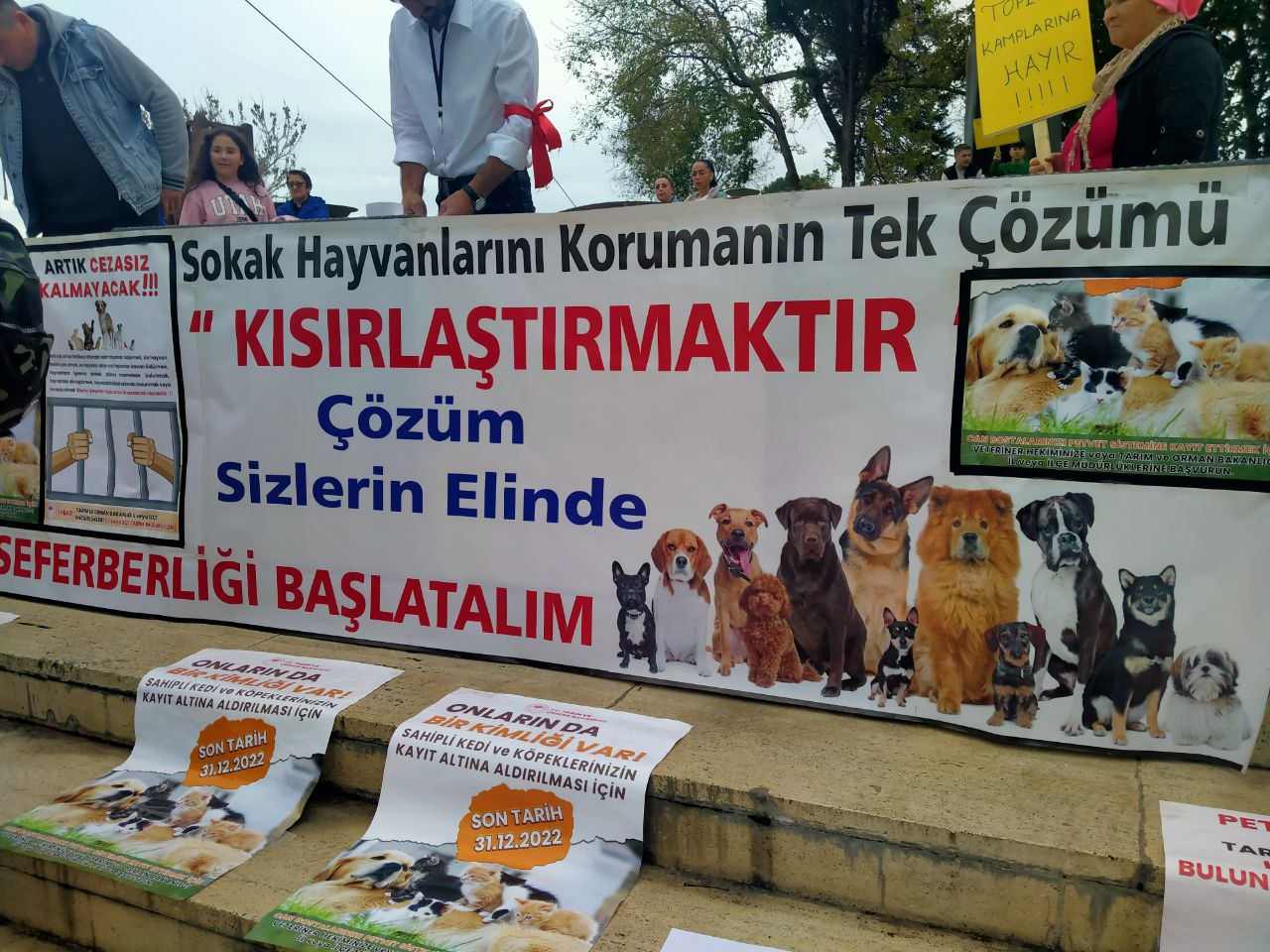 fotoğraf_5814244662393813760_y