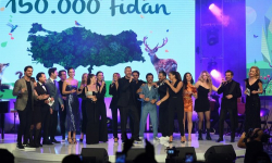 Yükseltilmiş sanatçılar