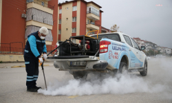 Merkezefendi halk sağlığı ilaçlama çalışmaları devam ediyor