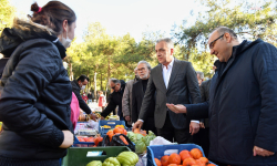 Konyaaltı'nda Fasulye Festivali için geri sayım başladı
