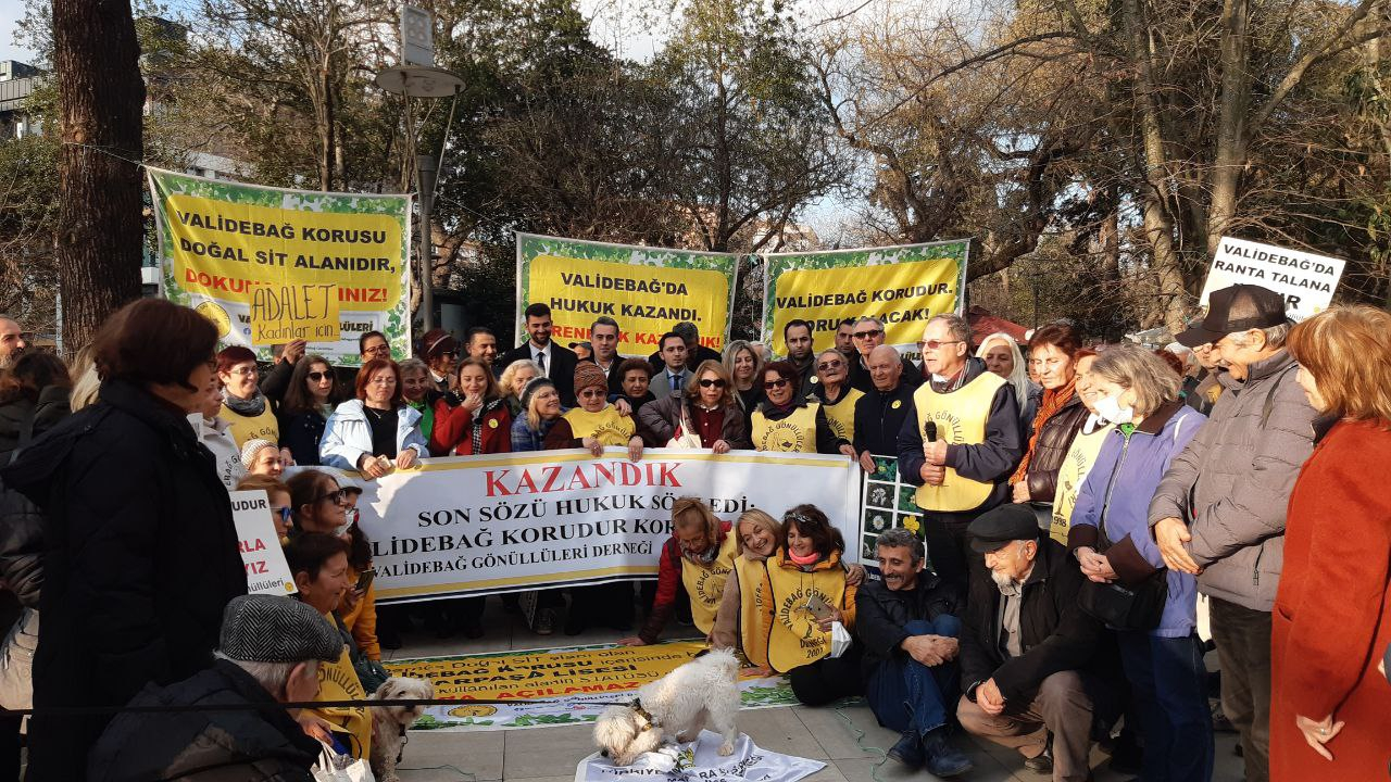 fotoğraf_5890955982345976910_y