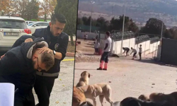 Hayvan kesimi durumunda tahliyeler devam edecek.