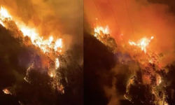 Alanya'da orman yangını