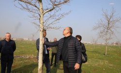 Turgutlu IRamaz Mesire Alanı'nın 2. etabında çalışmalar başlıyor