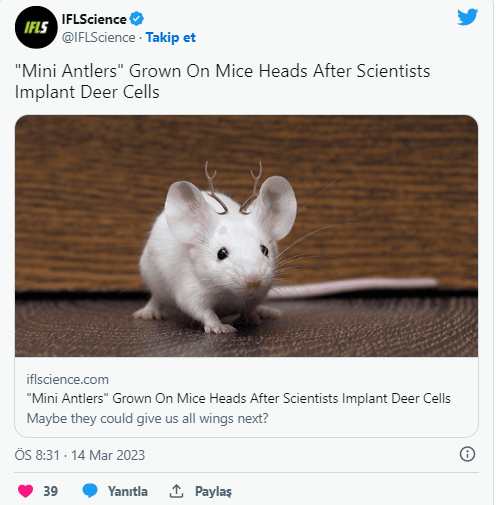 Ekran Görüntüsü_3-9