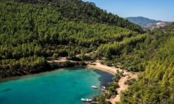 Cengiz Holding karar verdi 