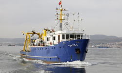 İzmit Körfezi'nde biyoçeşitlilik belirlenecek