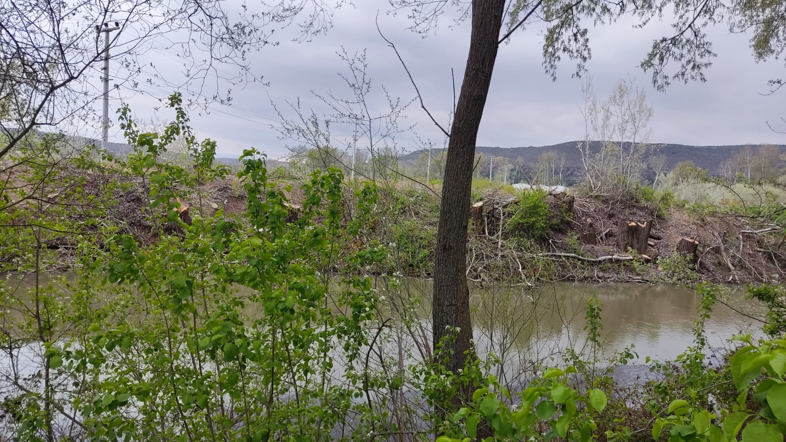 WhatsApp fotoğrafı 2023-05-02 09.53.02