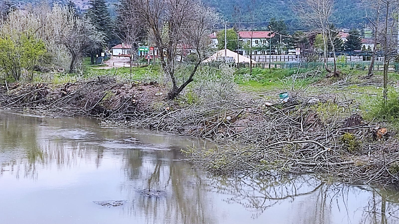 WhatsApp fotoğrafı 2023-05-02 09.53.00