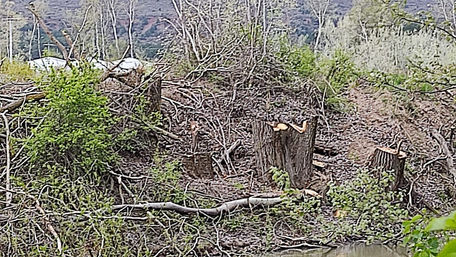 WhatsApp fotoğrafı 2023-05-02 09.53.01 (1)