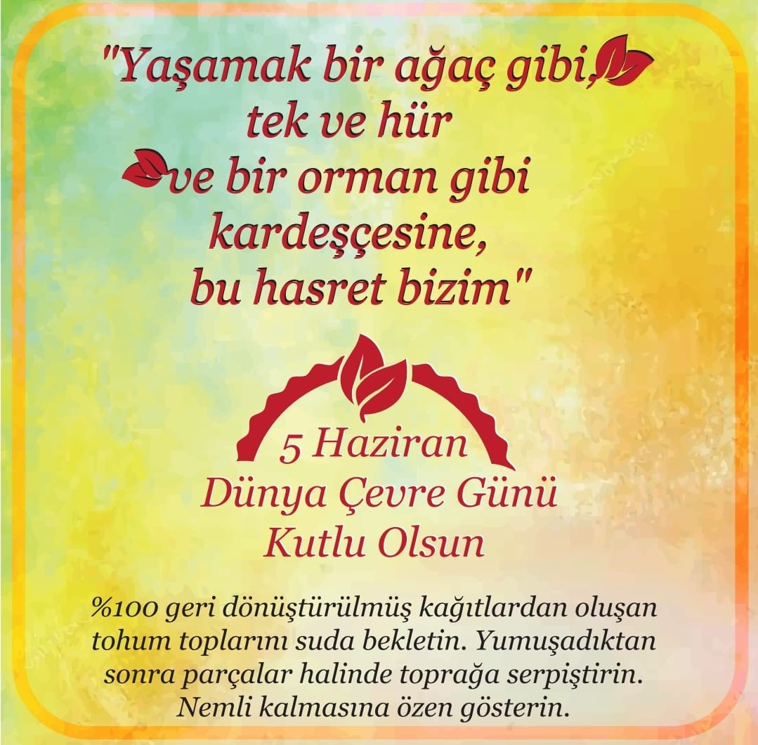 WhatsApp fotoğrafı 2023-06-05, 13.04.30