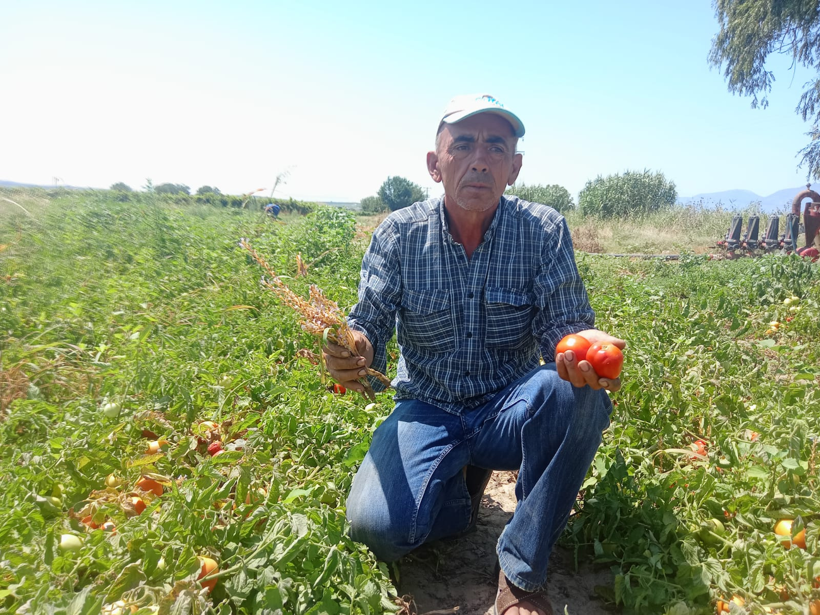 WhatsApp resmi 2023-07-22 23.58.08 (1)