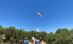 Gaziantep'te çıkan orman yangınına müdahale ediliyor