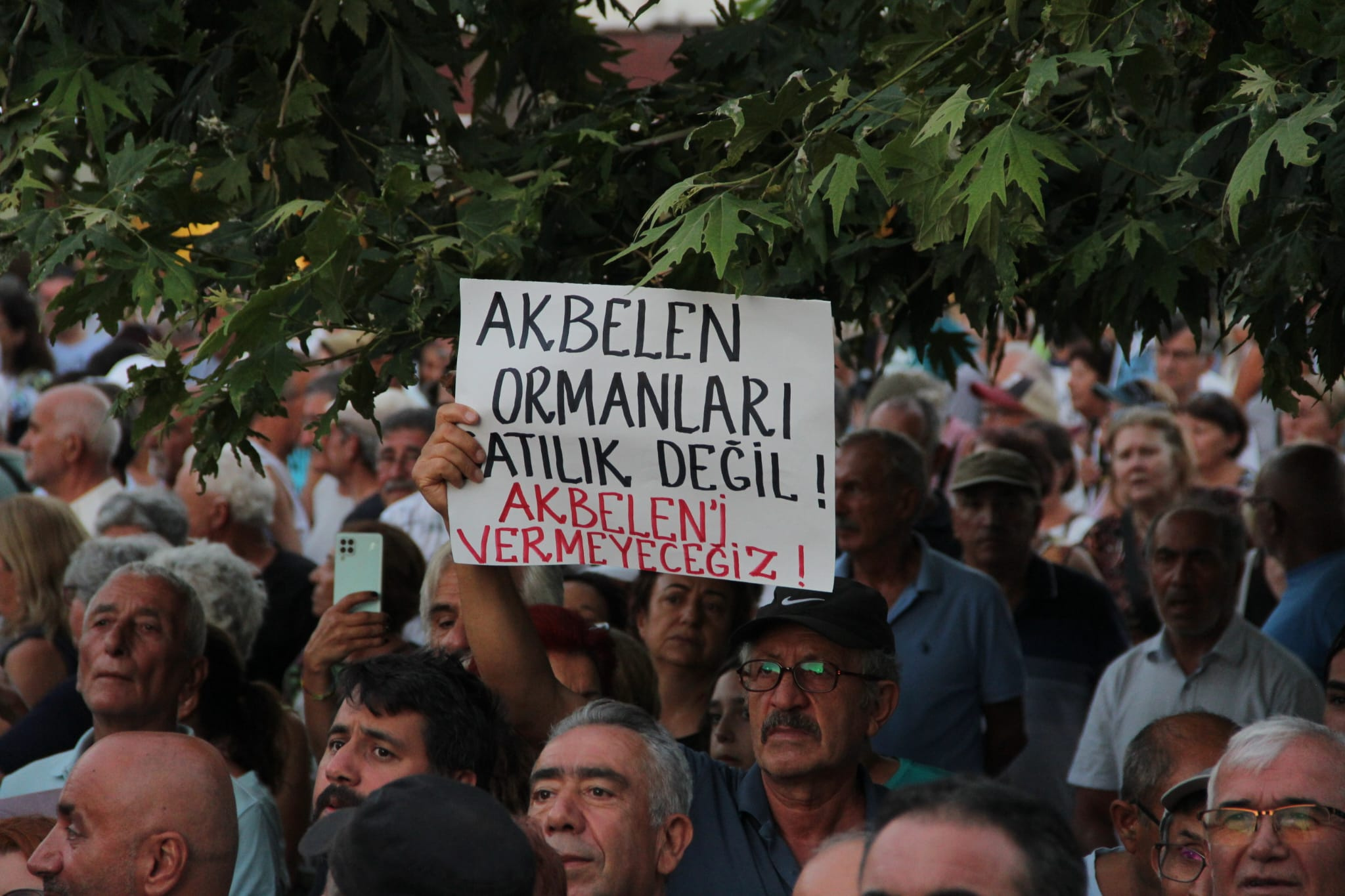 WhatsApp Image 2023-07-31 at 00.37.25 (1)