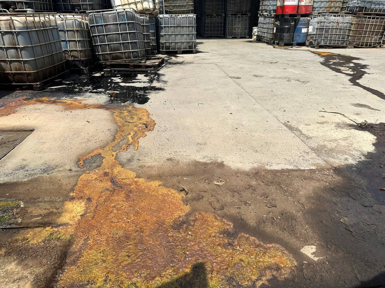 WhatsApp Image 2023-07-26 at 17.36.42 (2)