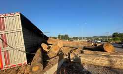 Muğla'da kereste yüklü kamyonun sürücüsü yaralandı