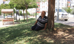 Gaziantep, Şanlıurfa, Malatya, Kahramanmaraş ve Kilis'te sıcak hava bunaltıyor