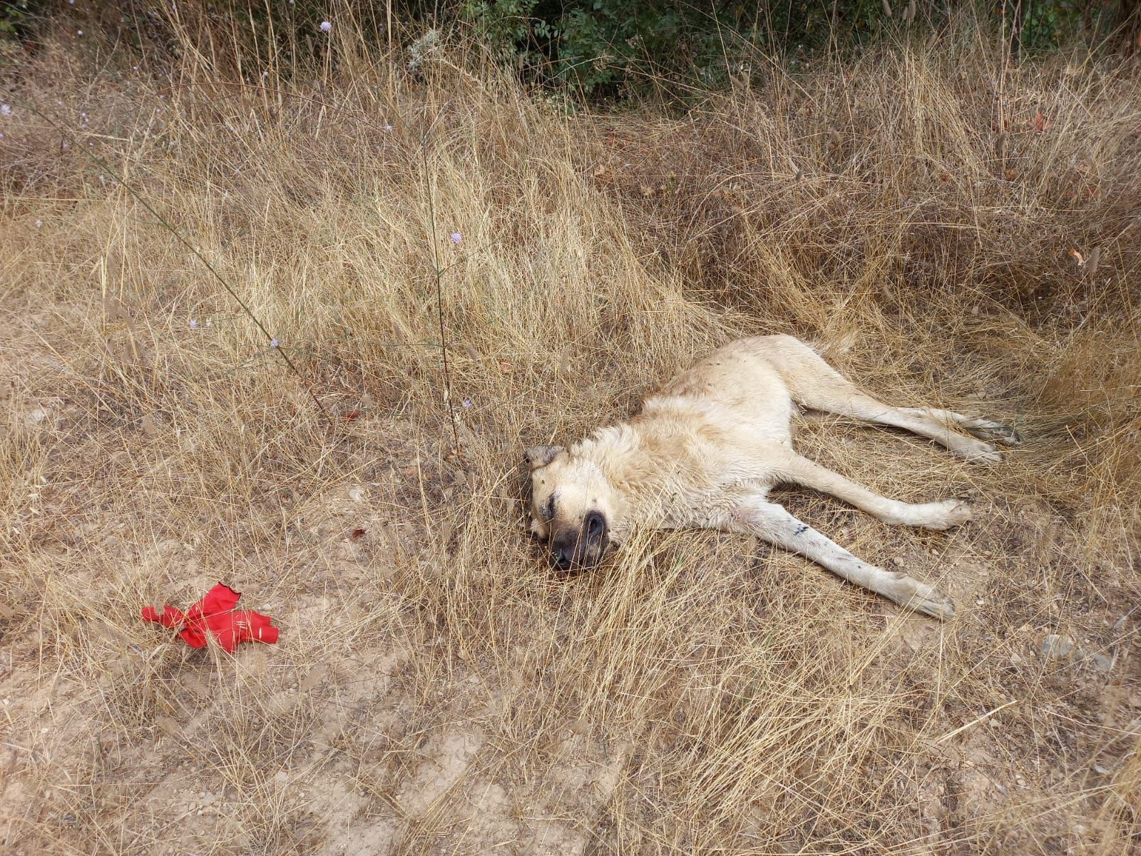 WhatsApp Image 2023-09-08 at 18.30.41 (1)