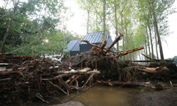 İğneada'daki ruhsatsız kamp yeriyle ilgili soruşturmada aranan işletme sahibi yakalandı