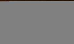 BBDSO'nun "Sezon Açılış Konseri"nde piyanist Gülsin Onay sahne aldı