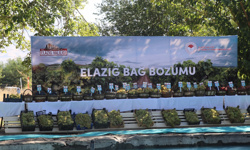 Elazığ'da "17. Geleneksel Üzüm Festivali ve Bağ Bozumu" etkinliği yapıldı