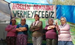 740 dönümlük alanda ağaçlar kesildi: Akbelen davası bugün görülüyor