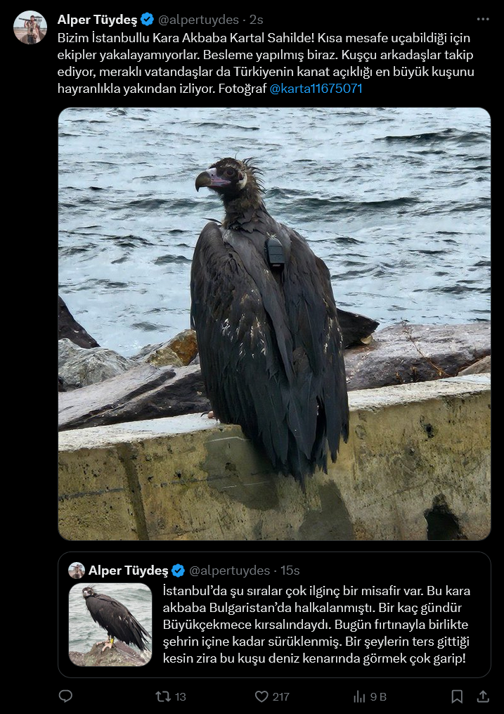 Screenshot 2024 01 08 At 14 02 19 (1) Alper Tüydeş (@Alpertuydes) X