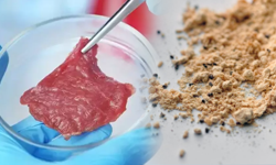 Tarım Bakanlığı'ndan 'yapay et' ve 'böcek unu' açıklaması