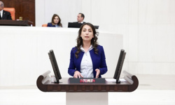 Hatimoğlulları'ndan Akşener'e: "Mertlik buysa, mertliğiniz batsın"