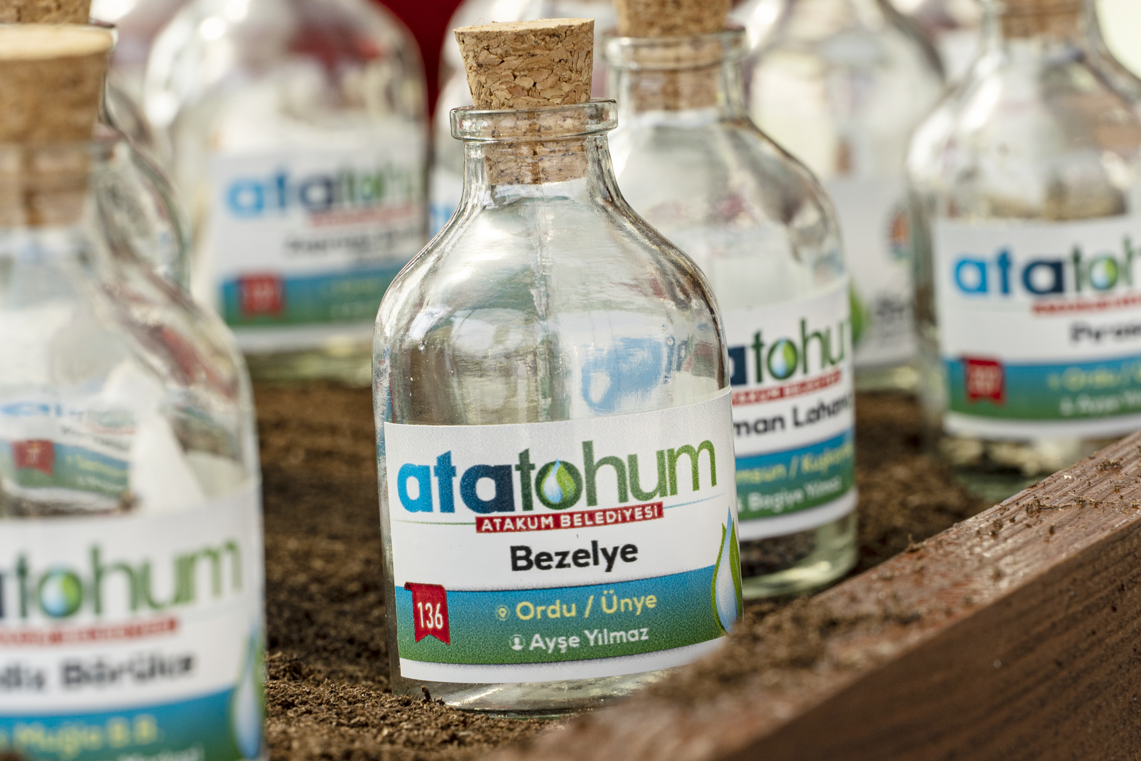 Karadeniz'in Ilki Ata Tohumlar, Atakum’dan Geleceğe Taşınıyor1