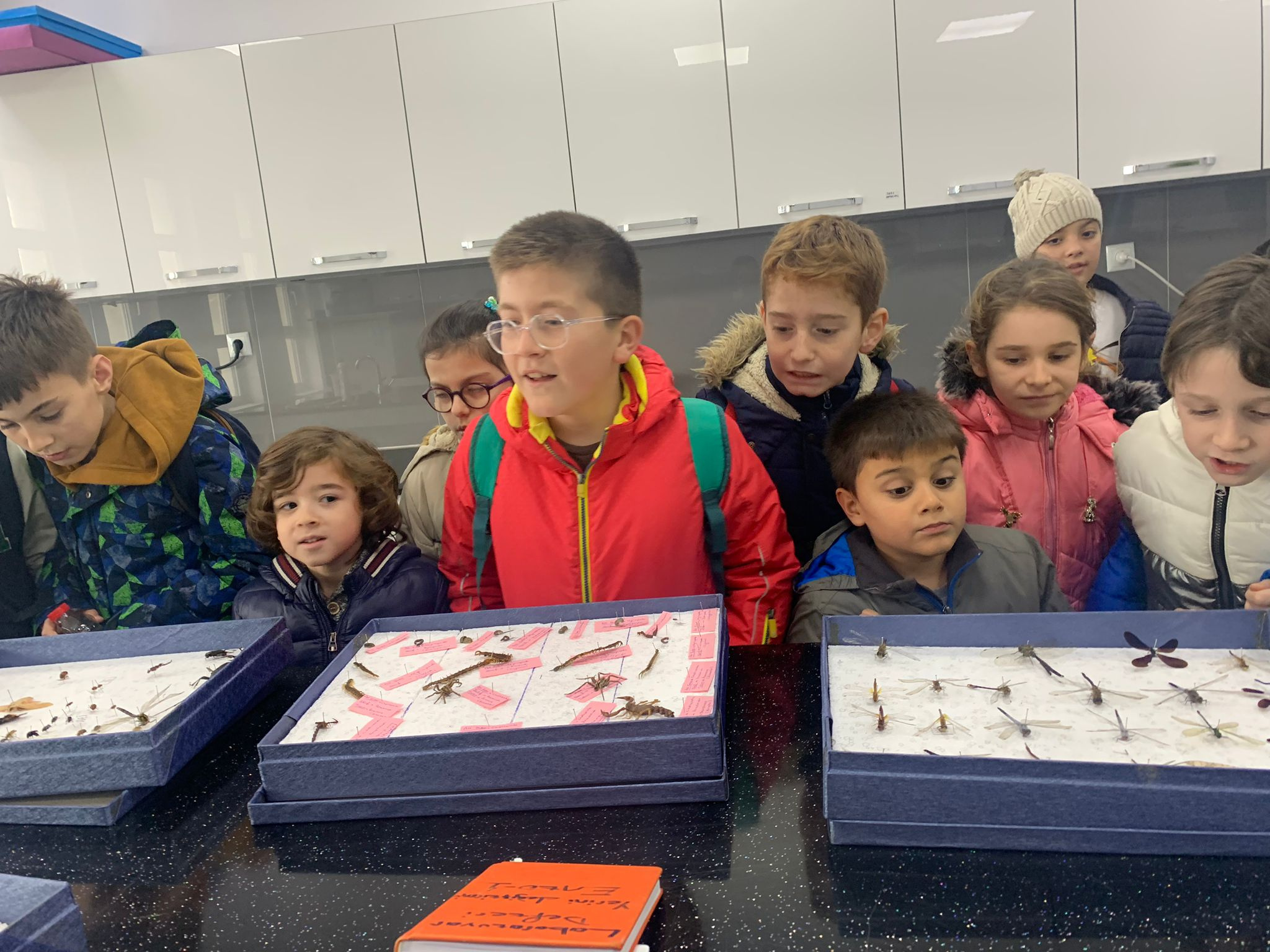 Atakum'da Çocuklar, Doğanın Dilini Öğreniyor