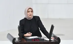Özlem Zengin'in görevden alındığı iddiasına AKP'den açıklama: "Görevinin başında"