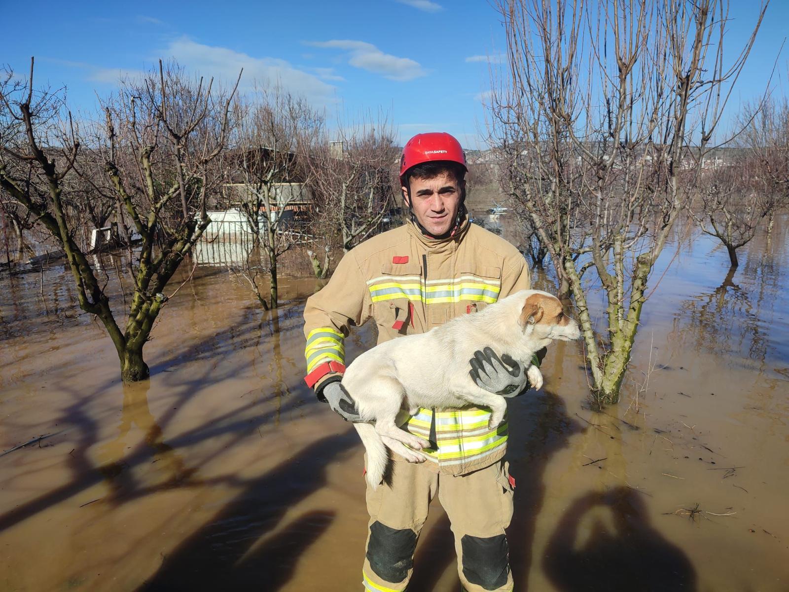 İtfaiye Ekipleri Can Dostları Da Kurtardı
